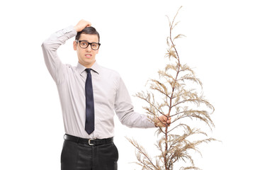 Wall Mural - Confused young man holding a dead tree