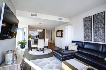 Black and white living room with modern design