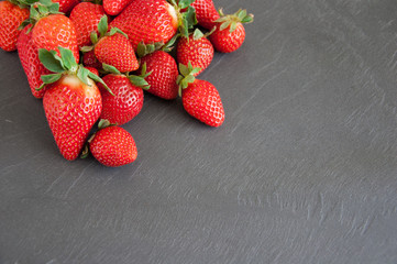 Fresh strawberries on a gray background with copy space