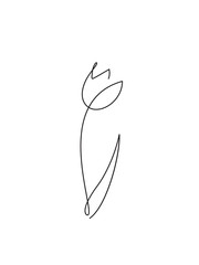 Tulip outline icon