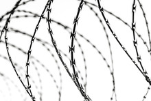 Fence With A Barbed Wire