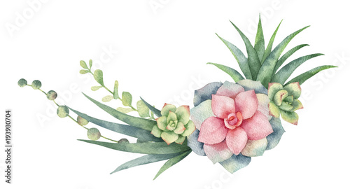 Fotomural Watercolor vector wreath of cacti and succulent plants isolated on white background