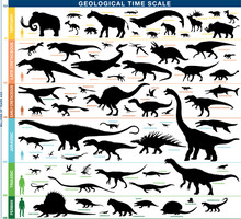 Geological Timeline Scale Prehistoric Animals Vector Silhouettes 