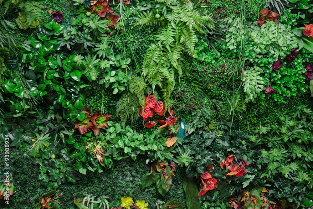 wall with greenery - obrazy, fototapety, plakaty 