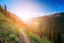 Dirt Path Hiking Trail Climbs Through The Colorado Mountains With The Colorful Light Of The Bright Sun Shining Over The Distant Horizon