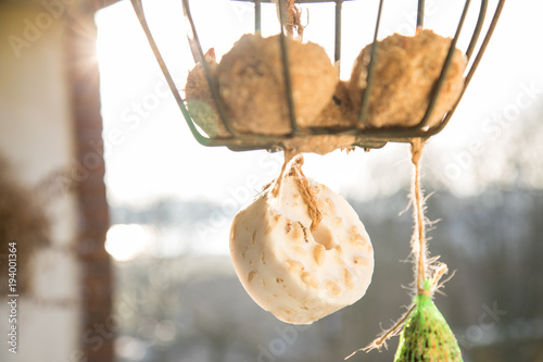 Fotografía Vogelfutter, Fettfutter und Meisenknödel im Winter auf Balkon