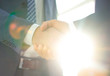 © ASDF - Businessman giving his hand for handshake to partner