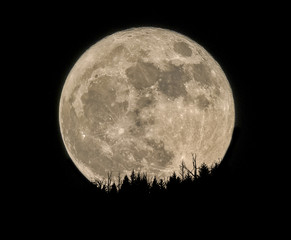 full moon rising