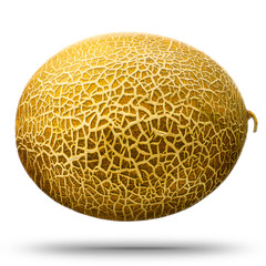 Canvas Print - Cantaloupe melon isolated on white background. With clipping path.