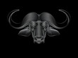 Graphic print of stylized silver buffalo on black background. Linear drawing.