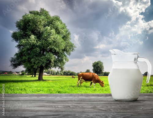 Plakat Miotacz mleko na krowy tle na zielonej łące