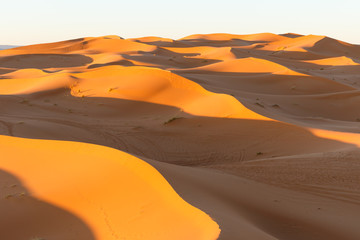 Wall Mural - Sahara dunes in Merzouga, Africa - The grand Dune of Merzouga