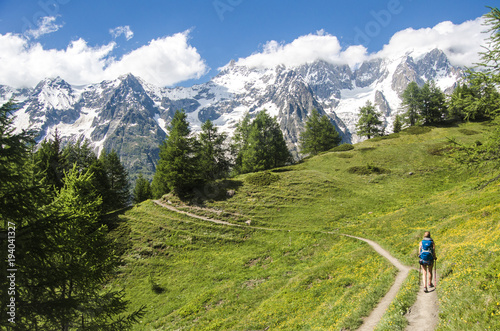 Plakat Alpejski widok górski z drzewami