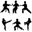 young karate boys