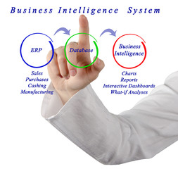 Canvas Print - Business Intelligence System