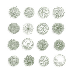 Different plants and trees vector set for landscape design