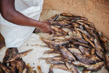 Wall Mural - fried fish in Uganda africa