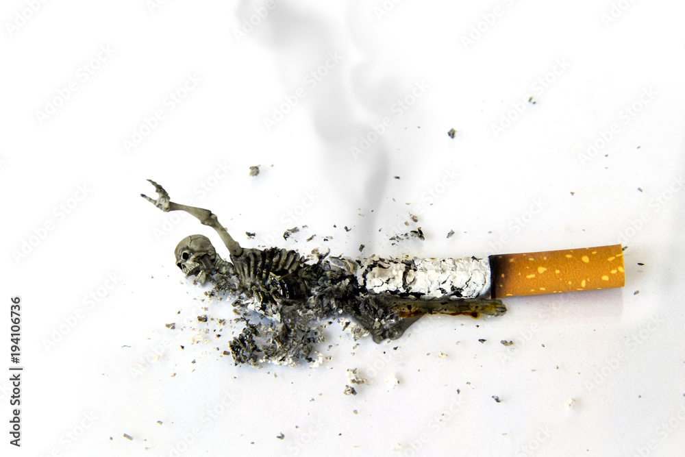 cigarette ash burn Photo Stock World No Tobacco Day on white background : Cigarette burn ashes  human bones. Communicate with people who smoke.Is Ready to be burned dead  Like cigarettes as well