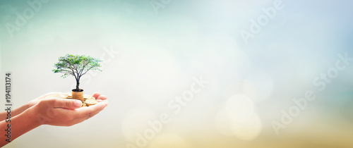 Fotomural Investment and fund concept: Human hands holding stacks of golden coins and grow