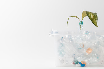 close up view of container with plastic bottles and green leaves isolated on white, recycling concept