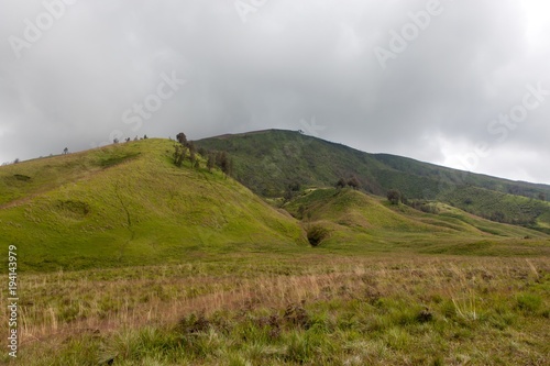 Fotografía Savanna and green hill of mt
