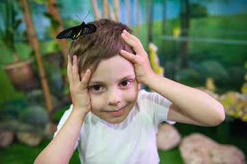 funny surprised smiling little kid with big butterfly on his head