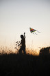 © Chepko Danil - boy playing kite on summer sunset meadow silhouetted
