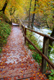 Fototapeta Na drzwi - Wonderful Vintgar Gorge canyon at curlicue river and beautiful autumn colors and close to Lake Bled