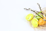 Fototapeta Kuchnia - Wielkanoc - Kolorowe pisanki i bazia - białe tło