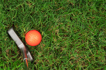 Orange golf ball and putter on green grass