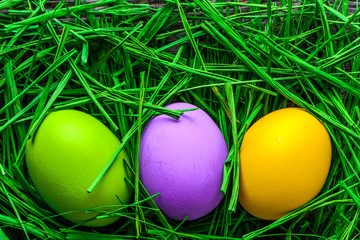 Wall Mural - Easter eggs in grass, nest with eggs, background