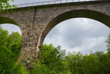 Fototapeta Na drzwi - Viaduct across the river Yaryngya. Krestetsky District, Novgorod Region Russia