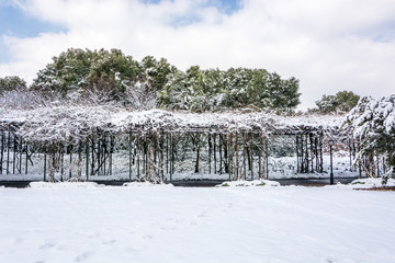 First snow in the city. Snow-covered streets. Autumn cityscape. green leaves in the snow