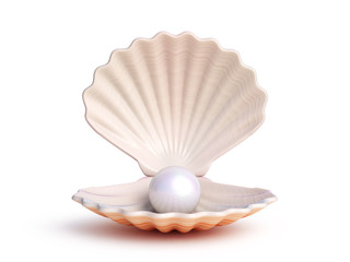 Poster - Pearl inside seashell isolated on white background 3d rendering