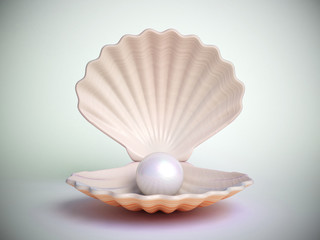 Poster - Pearl inside seashell isolated on white background 3d rendering