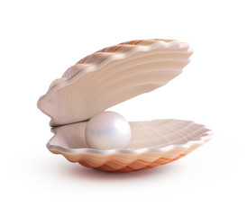 Poster - Pearl inside seashell isolated on white background 3d rendering