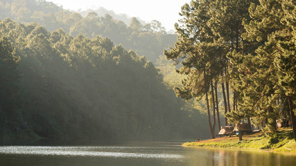 Wall Mural - pang tong national park at mae hong son province in thailand with pine trees and lake in mountain, g