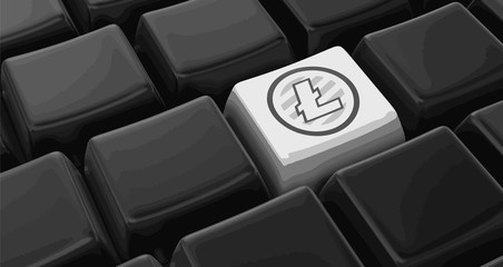 Poster - litecoin key concept