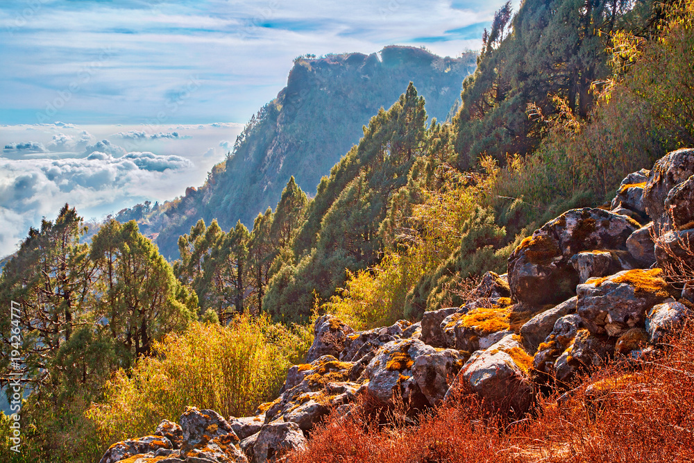 Mountain landscape with rocks and colorful vegetation and trees in