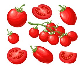 Wall Mural - Set of hand drawn tomatoes. Branch, whole and slice.