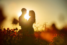 A Young Couple Kissing In A Field With Flowers At Sunset, Summer Day.
