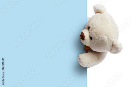 Cuadros en Lienzo Teddy bear with blue blank space for commercial graphycs