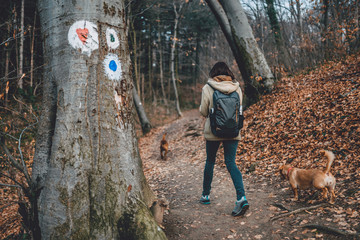 woman with dog hiking on forest trail