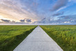 © AWL Images - Straight pathway along meadows