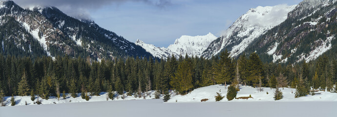 Canvas Print - Montains