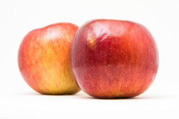 Two apples from front isolated on white