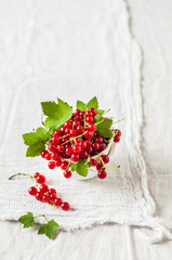 Canvas Print - Red Currants over White Background