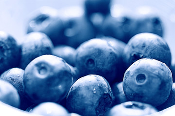 fresh berries blueberries close-up scattered black and white