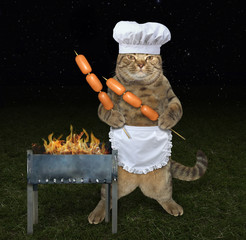 The chef cat with sausages on the barbecue wooden skewer is next to a grill.