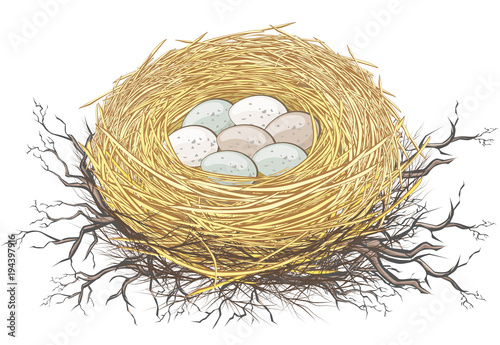 Fotografia, Obraz Nest oder Gelege eines Vogels mit Eiern in der Natur Ostern Dekoration